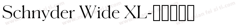 Schnyder Wide XL字体转换